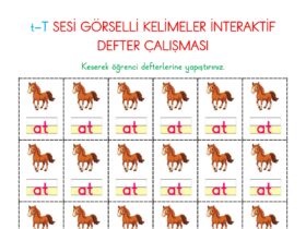 1. Sınıf T Sesi Deftere Yapıştırma Kelime Çalışmaları