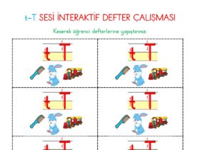 1. Sınıf T Sesi İnteraktif Defter Etkinliği