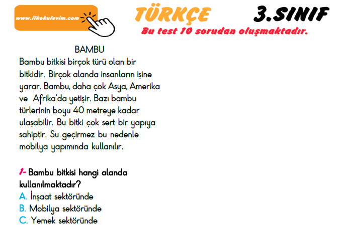 3. Sınıf Türkiye Geneli Kazanım Değerlendirme Sınavı 6