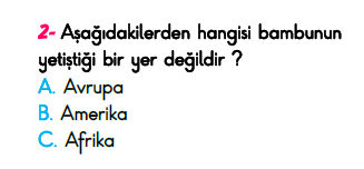 3. Sınıf Türkiye Geneli Kazanım Değerlendirme Sınavı 6