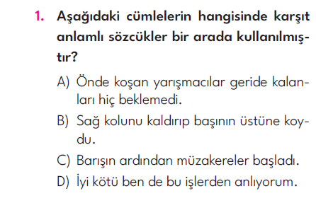 4.Sınıf 6. Hafta Değerlendirme Testi