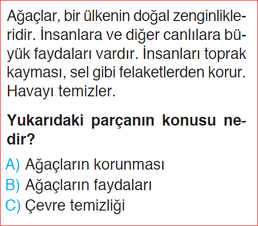 2. Sınıf Aralık Ayı Mini Değerlendirme