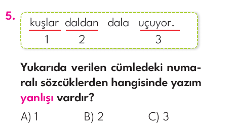 2.Sınıf 5. Hafta Değerlendirme Testi