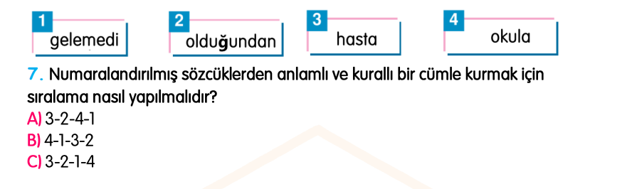 3.Sınıf Kasım Ara Tatil Değerlendirme Soruları