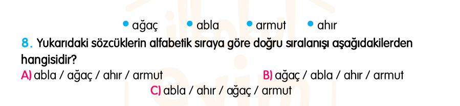3.Sınıf Kasım Ara Tatil Değerlendirme Soruları