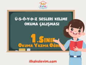 1. Sınıf Ü-S-Ö-Y-D-Z Sesleri Kelime Okuma Çalışması