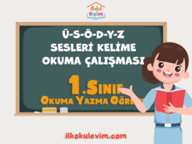 1. Sınıf Ü-S-Ö-D-Y-Z Sesleri Kelime Okuma Çalışması