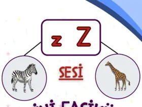 1. Sınıf Z Sesi Fasikülü (Mehmet GÖKÇE Öğretmen)