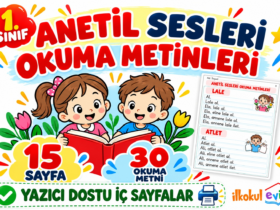 ANETİL okuma metinleri: 1. sınıf için 15 sayfa ve 30 metin