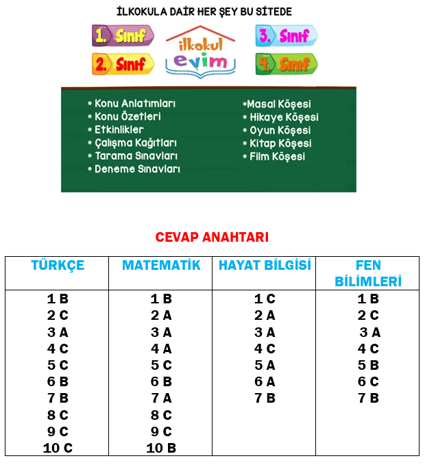 3. Sınıf 34 Soruluk Değerlendirme Etkinliği