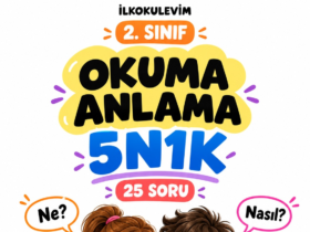 2. Sınıf Okuma Anlama 5N1K Etkinlikleri – 25 Soru