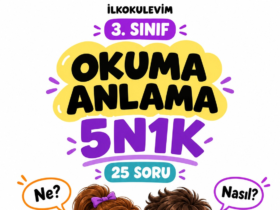 3. Sınıf Okuma Anlama 5N1K Etkinlikleri – 25 Soru