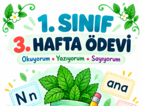 1. sınıf 3. hafta ödevi kapak resmi - İlkokulevim okuma yazma ve sayma etkinlikleri