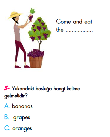 2. Sınıf Kazanım Değerlendirme Sınavı 20 Mayıs 2023