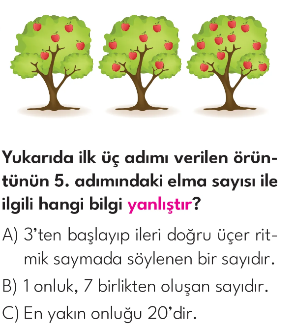 2.Sınıf Tarama Zamanı