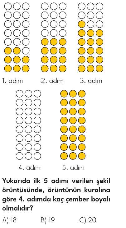 2.Sınıf Tarama Zamanı