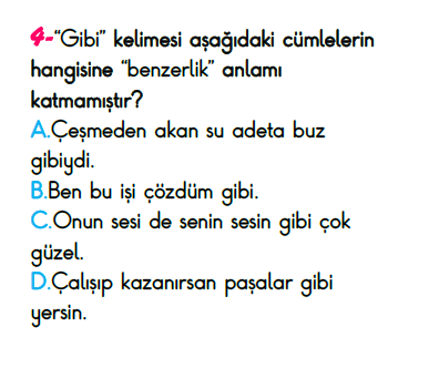 4. Sınıf Kazanım Değerlendirme Sınavı 20 Mayıs 2023