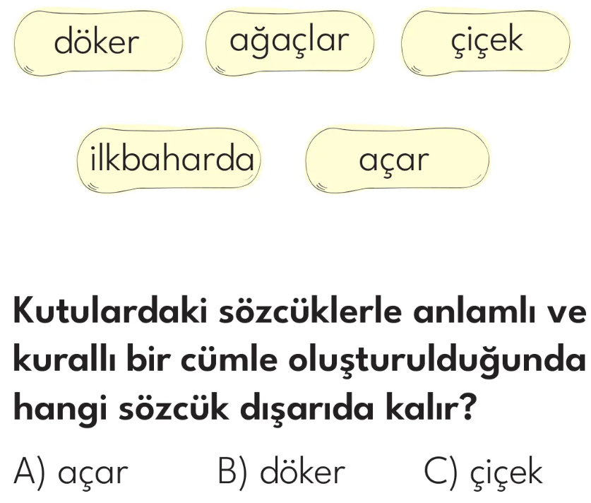 2.Sınıf Tarama Zamanı